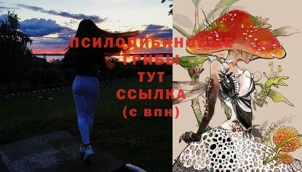 МДПВ Аркадак